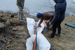 IMG20220312165403_720x960