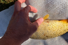 IMG20230323151708_1600x1200