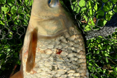 IMG_20220923_140836_900x1200