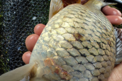 IMG_20230410_153453133_904x1200