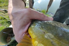 IMG_20230422_164818368_1594x1200