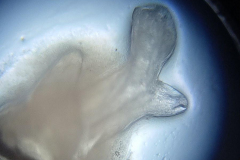 IMG_20230422_181308912_900x1200