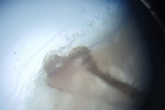 IMG_20230422_181322371_900x1200