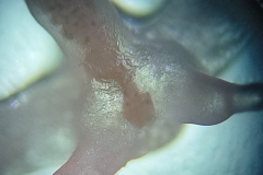 IMG_20230422_182304873_900x1200