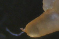 VID_20230422_175205453_exported_6179_675x1200