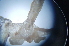 VID_20230422_180135755_exported_52603_675x1200