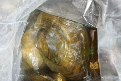 IMG20211016183125_720x960