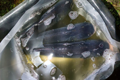 IMG20211016184003_720x960