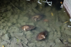 IMG20211016184353_720x960