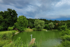 IMG_20210803_173854_1280x960-1