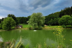 IMG_20210803_173939_1280x960