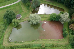 screen_28d7fab9636da234_1630145269701_1280x960