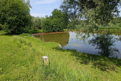 t21_sommer22-21