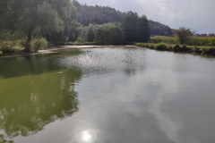 t21_sommer22-38