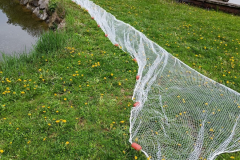 IMG20220506105140_900x1200