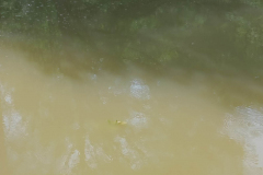 IMG20220616104458_1600x1200