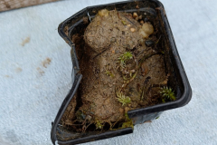 IMG20230322090337_900x1200