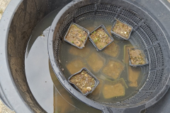 IMG20230322091118_900x1200