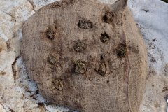 IMG20230322104544_900x1200