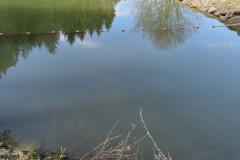 IMG20230322110554_900x1200