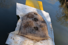 IMG20230322112133_900x1200