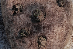 IMG20230322114259_900x1200