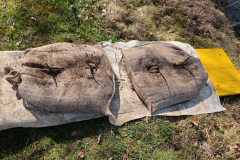 IMG20230322120152_1600x1200