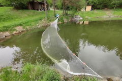 IMG_20220506_110314_1600x1200