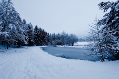 IMG_20211211_083401_1280x960_1280x960