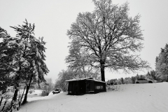 IMG_20211211_083427_1280x960_1280x960