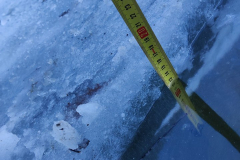 IMG_20220128_102152_720x960